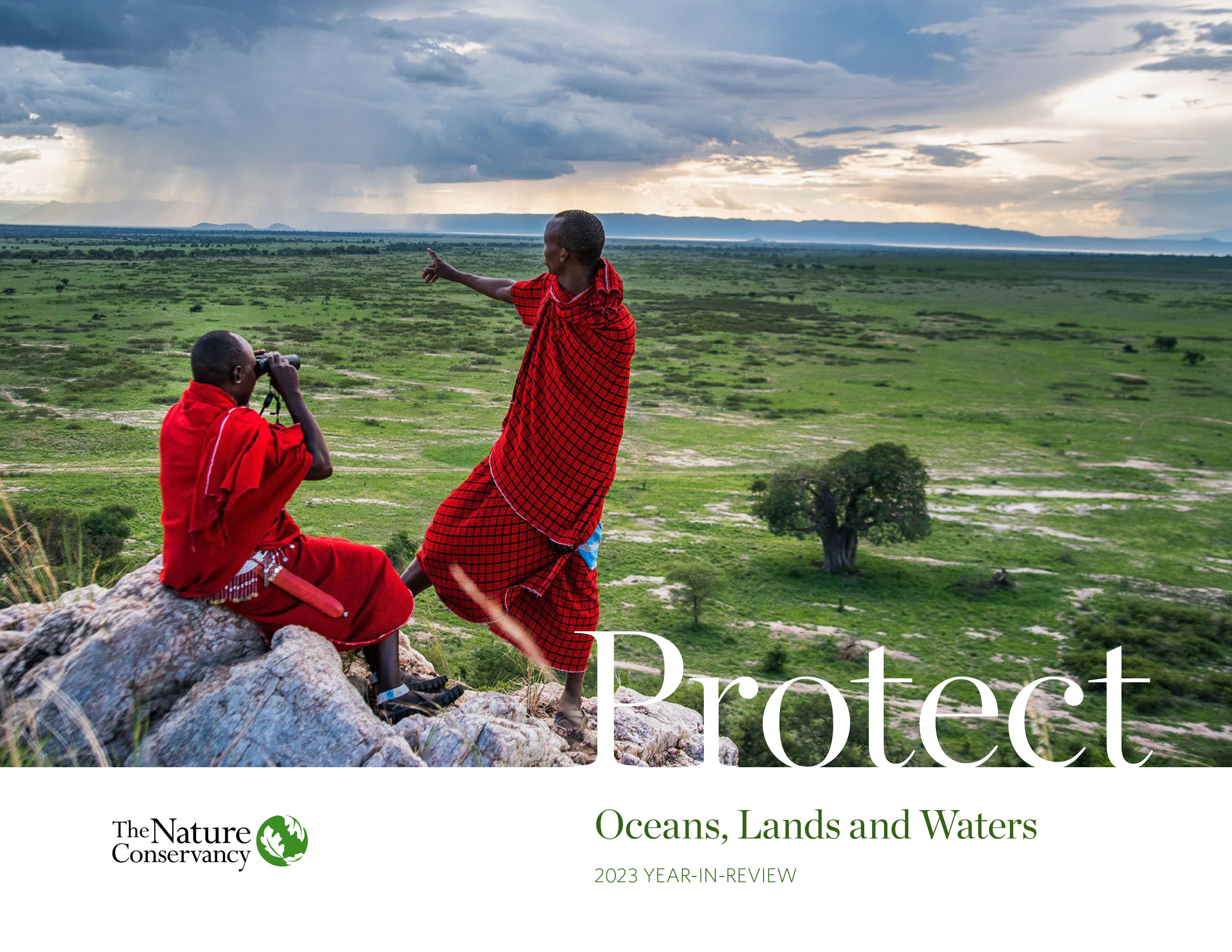 Cover of the 2023 Protect report.