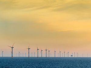 An offshore windfarm against a yellow sky