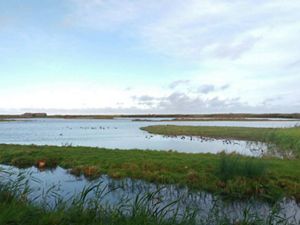 A wide peaceful marsh on a sunny day in England.