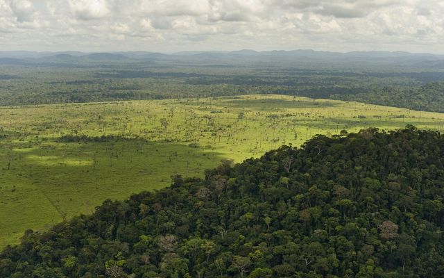 aerial view of Amazon rainforest split in half by an expansive deforested field