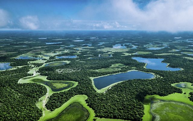 Pantanal Wetlands, Brazil