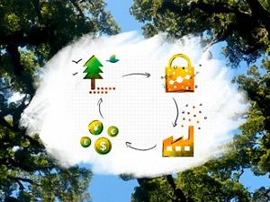 An illustration of four stages of a carbon offsets cycle on a white paint swatch over a photo of trees against the sky.