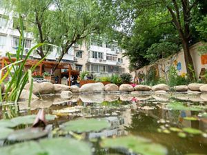 Ground-level view across a small garden pond at volunteers working in a Hongxu Habitat Garden.