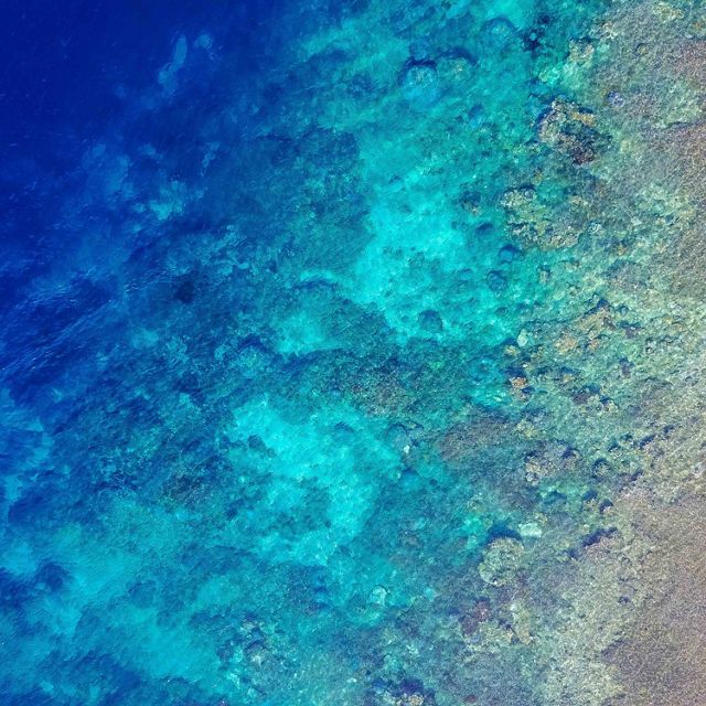 Aerial view of a coastline.