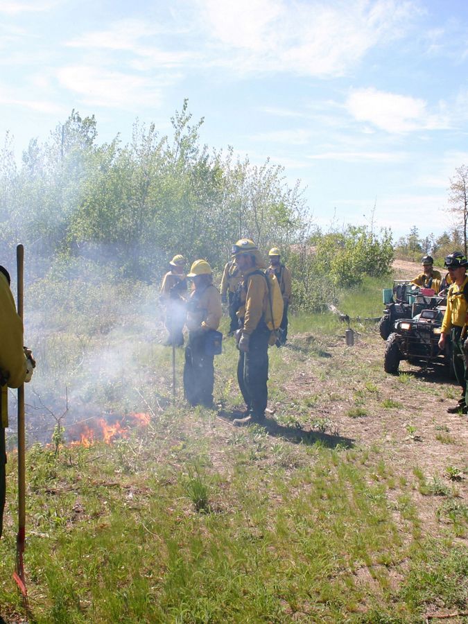 Fire crew at a prescribed burn.