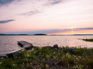 dock on lakeshore blooming with wildflowers at sunset