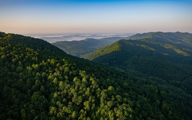 Aerial photograph of the Cumberland Gap in Kentucky. May 2019. The Cumberland Forest Project protects 253,000 acres of Appalachian forest and is one of TNC’s largest-ever conservation efforts in the eastern United States.