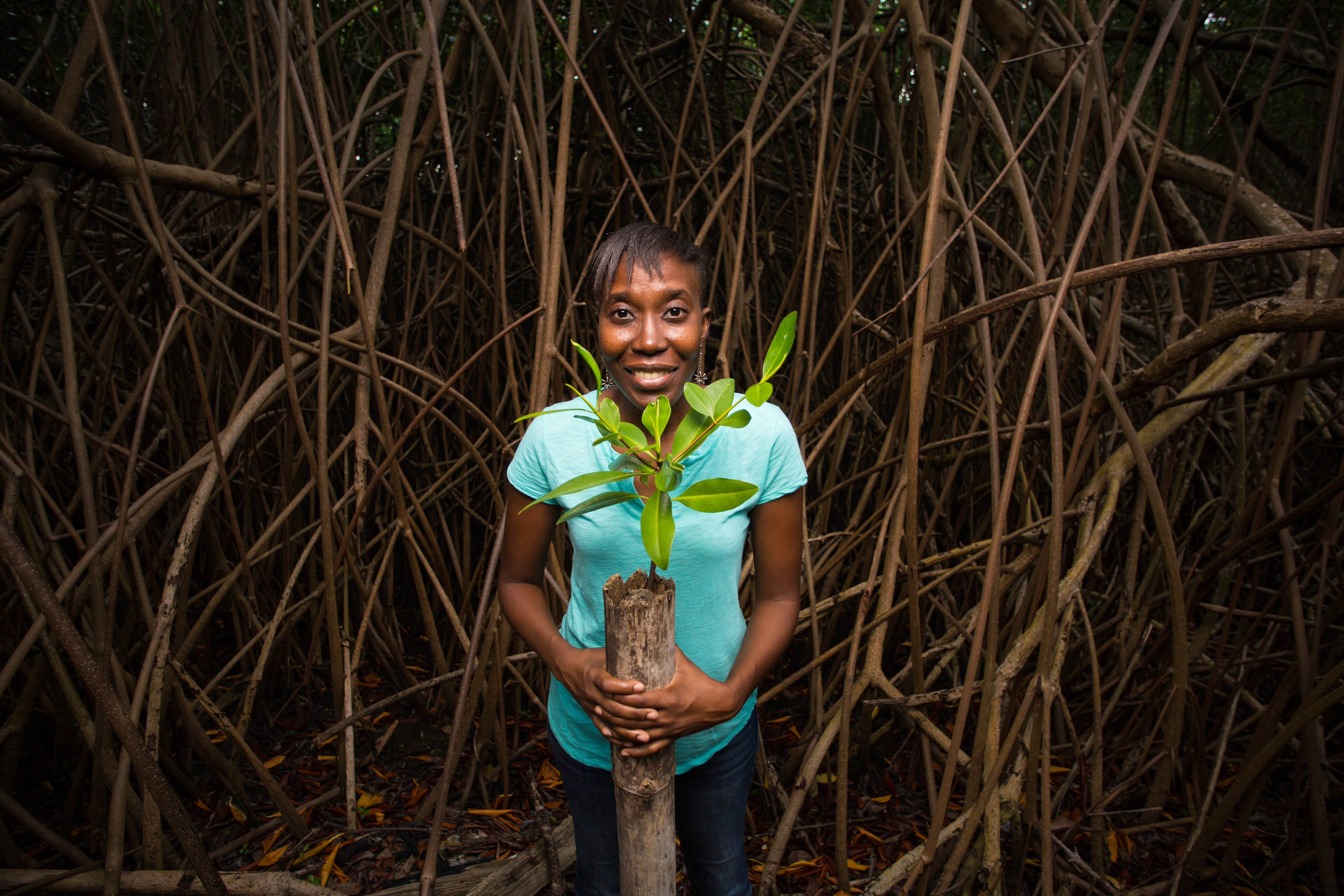 A woman stands in front of a web of mangrove roots and branches holding a young mangrove tree.