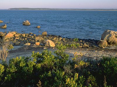 View of rocky beach along waterfront.