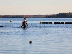 An oyster farmer wades in shallow water