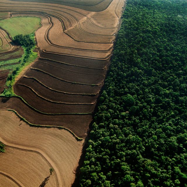 Industrial farmland surrounding cerrado habitat, Emas National Park, Brazil.