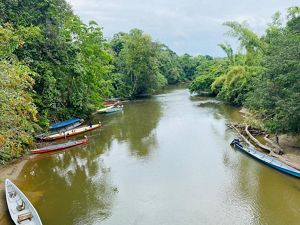 A river with boats and trees along its shores.