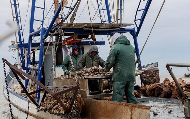 Three men stand with heavy machinery on a boat, pulling up oysters from the ocean.