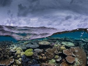 A split view of above and under water, showing sky and clouds above and a coral reef below the water's surface.