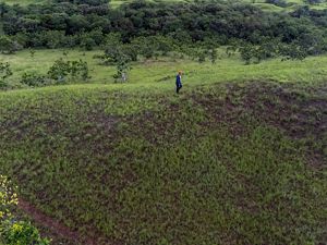 Rolling, open hillsides of Manacacias, Colombia.