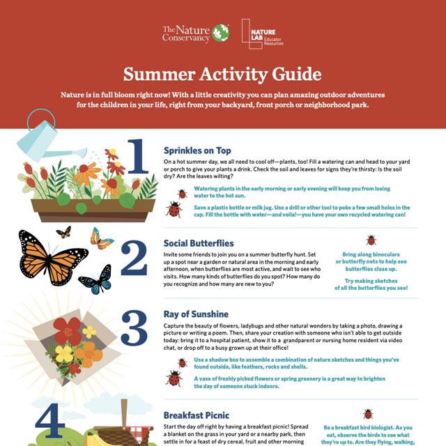 nature lab summer guide.