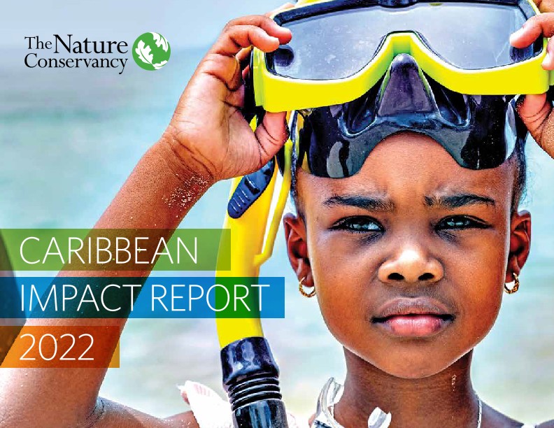 Cover of the Caribbean Impact Report.