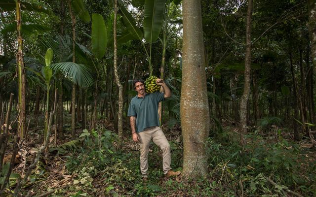 Man in forest smiles carrying bunch of bananas on shoulder.