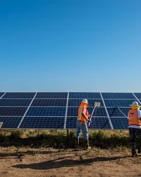 A group of works clean solar panels under blue sky.