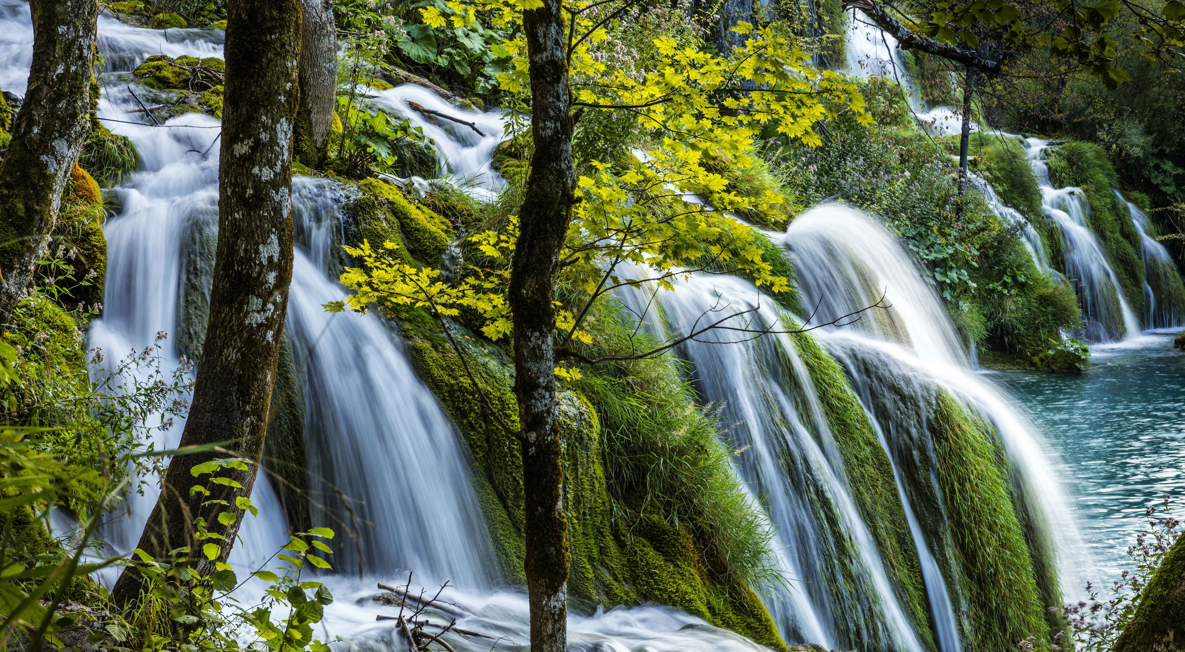 Waterfall cascading through a lush forest in Croatia.