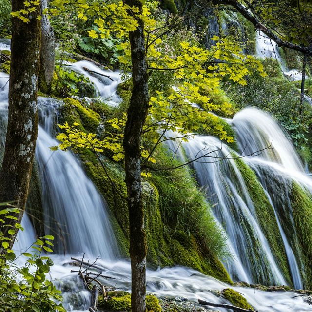 Waterfall cascading through a lush forest in Croatia.