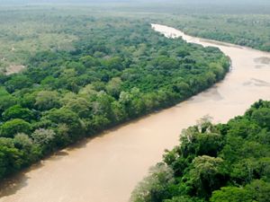 Muddy, winding river from above.