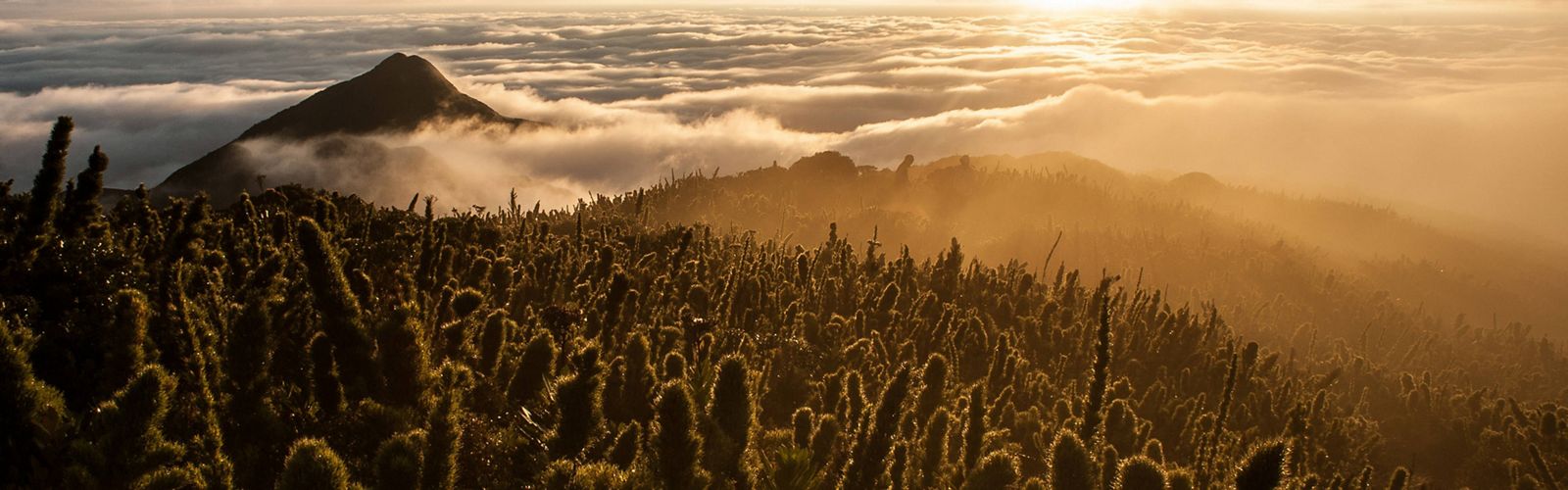 Sunrise above fields in Caratuva, Brazil