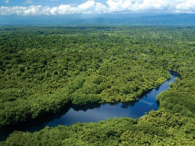 Aerial view of a hidden lagoon in a lush, green forest.