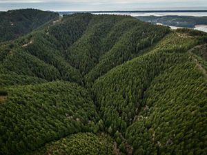 Aerial views of the Ellsworth Creek Preserve.       