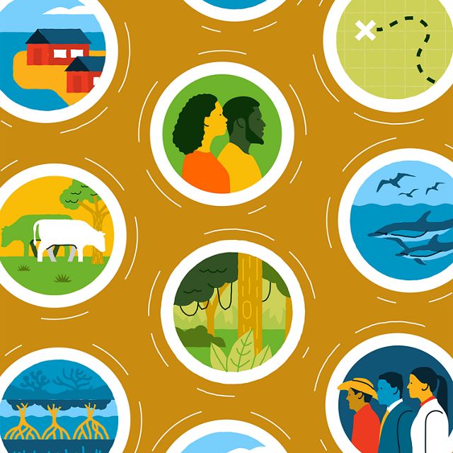 Illustration with circles containing imagery of people, jungle, dolphins, cattle, houses, and mangroves against a mustard yellow background.