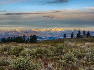 Photo of a brushy meadow in foreground, with sunlit, snow-capped mountains in the background and light clouds above in Washington's Tunk Creek Valley.