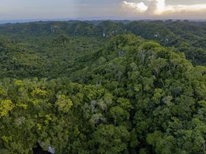 Aerial view of the Maya Forest in Belize.