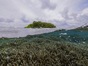 Barrier Reef of Belize