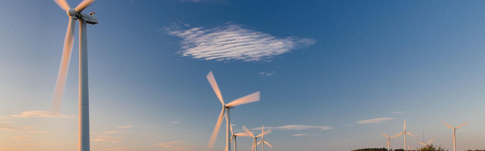 Wind farm turbines