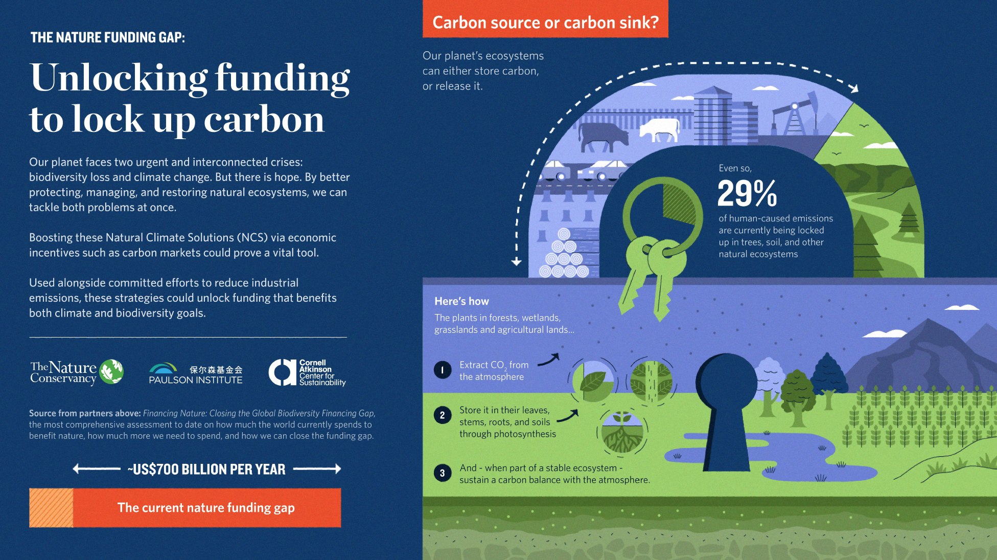 Thumbnail of a blue, purple, and green infographic with lots of illustrations and text.